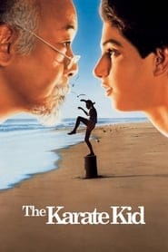 Karate Kid Cały film - Gdzie obejrzeć online - Viderio