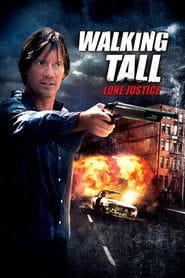 Z podniesionym czołem 3: W imię sprawiedliwości Cały Film (2007) - Vider