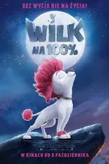Wilk na 100% Cały film - Gdzie obejrzeć online - Viderio