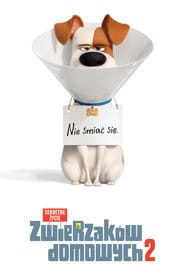 Sekretne życie zwierzaków domowych 2 Cały film - Gdzie obejrzeć online - Viderio