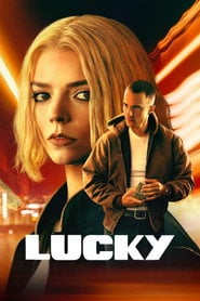 Sprawdź Lucky - dostępność w katalogu Vider