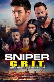 Snajper: Jednostka specjalna G.R.I.T. Cały film - Gdzie obejrzeć online - Viderio