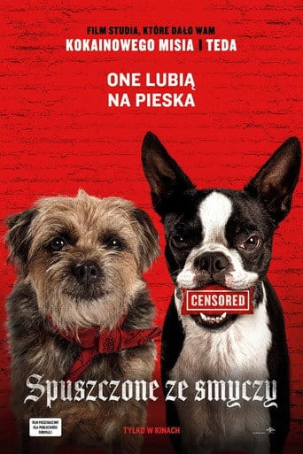 Spuszczone ze smyczy Cały film - Gdzie obejrzeć online - Viderio