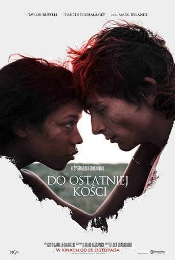 Do ostatniej kości Cały film - Gdzie obejrzeć online - Viderio