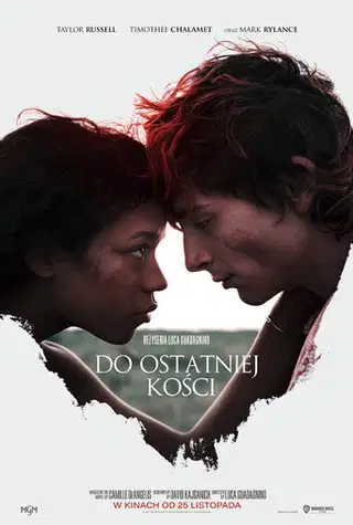 Do ostatniej kości Cały film - Gdzie obejrzeć online - Viderio