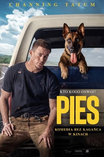 Pies Cały film - Gdzie obejrzeć online - Viderio
