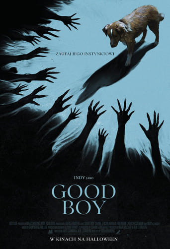 Good boy Cały film - Gdzie obejrzeć online - Viderio