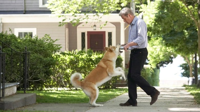 Mój przyjaciel Hachiko Cały film - Gdzie obejrzeć online - Viderio