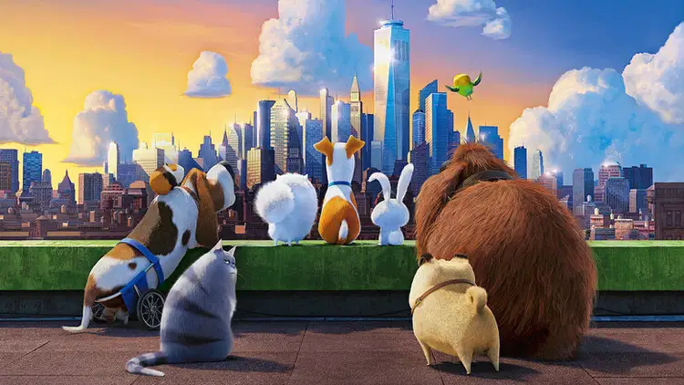 Sekretne życie zwierzaków domowych Cały film - Gdzie obejrzeć online - Viderio