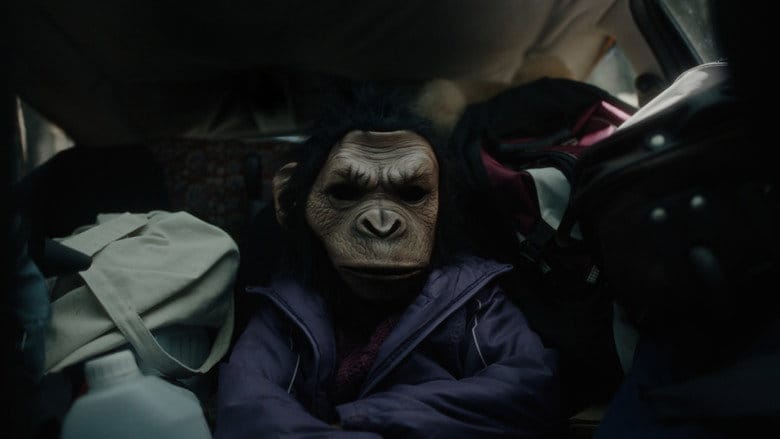 Disforia Cały film - Gdzie obejrzeć online - Viderio