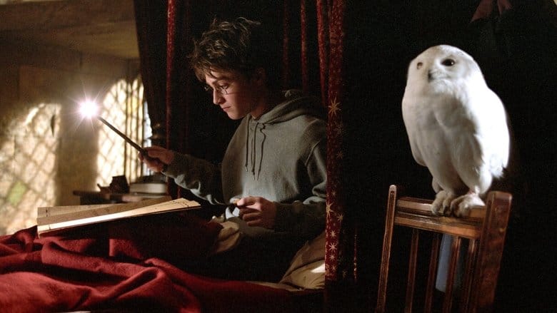 Harry Potter i więzień Azkabanu Cały film - Gdzie obejrzeć online - Viderio