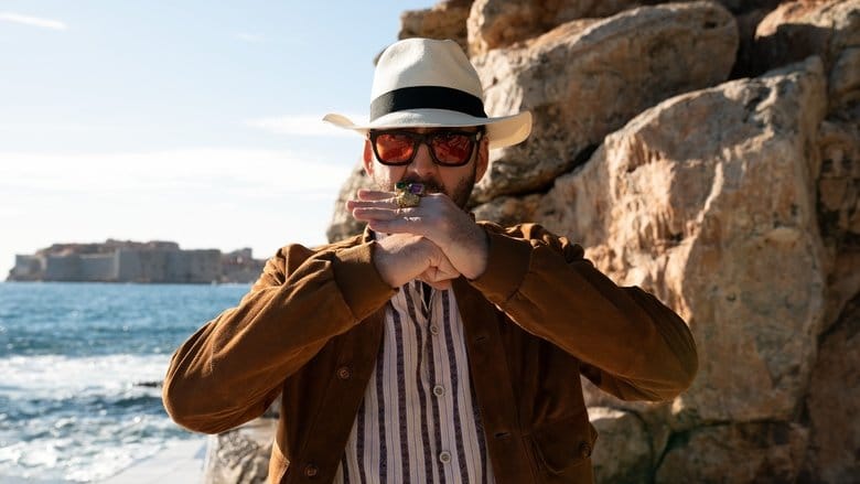 Nieznośny ciężar wielkiego talentu Cały film - Gdzie obejrzeć online - Viderio