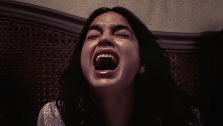 Obłąkana Cały film - Gdzie obejrzeć online - Viderio