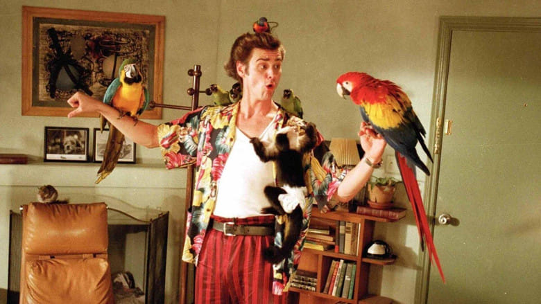 Ace Ventura: Psi detektyw Cały film - Gdzie obejrzeć online - Viderio