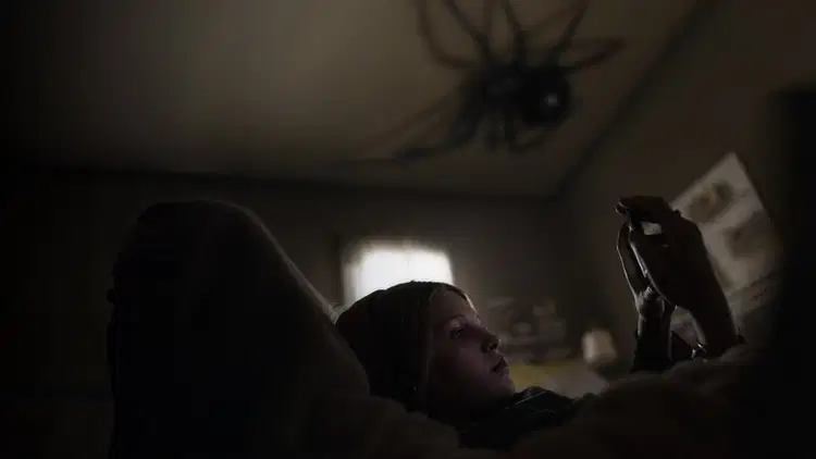 Gniazdo pająka Cały film - Gdzie obejrzeć online - Viderio