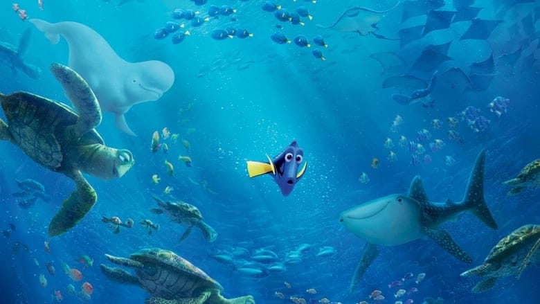Gdzie jest Dory Cały film - Gdzie obejrzeć online - Viderio