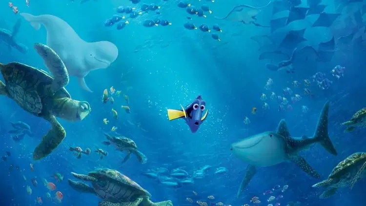 Gdzie jest Dory Cały film - Gdzie obejrzeć online - Viderio